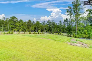 217 Flatsedge Ct, Lexington, SC 29072 - Photo 21