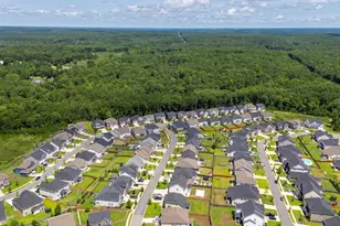 1318 Portrait Hill Dr, Chapin, SC 29036 - Photo 49