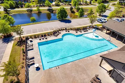 1318 Portrait Hill Drive, Chapin, SC 29036 - Photo 53