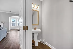 1318 Portrait Hill Dr, Chapin, SC 29036 - Photo 25