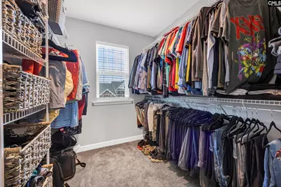 1318 Portrait Hill Drive, Chapin, SC 29036 - Photo 35