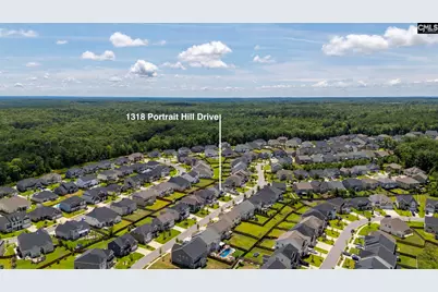 1318 Portrait Hill Drive, Chapin, SC 29036 - Photo 47