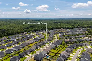 1318 Portrait Hill Dr, Chapin, SC 29036 - Photo 47