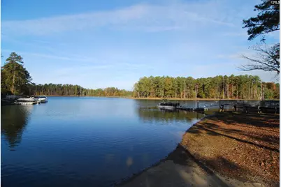 229 Bent Oak Drive, Chapin, SC 29036 - Photo 41