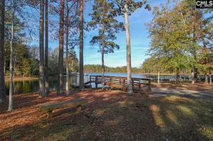 229 Bent Oak Dr, Chapin, SC 29036 - Photo 39
