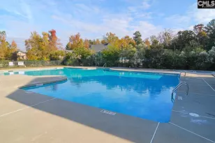 229 Bent Oak Dr, Chapin, SC 29036 - Photo 37