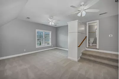 229 Bent Oak Drive, Chapin, SC 29036 - Photo 23