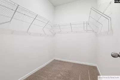 568 Stone Hollow Drive, Irmo, SC 29063 - Photo 17