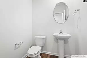 568 Stone Hollow Dr, Irmo, SC 29063 - Photo 19