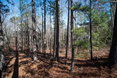 210 Stormycreek Lane, Blythewood, SC 29016 - Photo 7