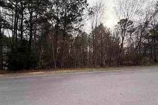 1334 Camping Rd, Gilbert, SC 29054 - Photo 1