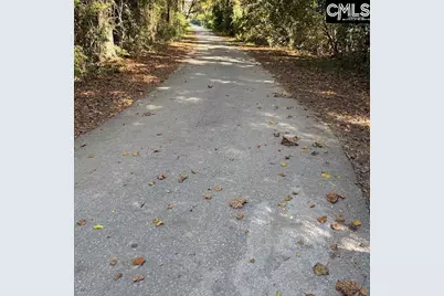 195 Wild Turkey Lane, Camden, SC 29020 - Photo 23