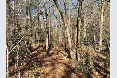 0 Green Hills Drive, Gilbert, SC 29054 - Photo 13