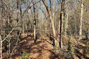 0 Green Hills Dr, Gilbert, SC 29054 - Photo 13