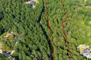 0 Green Hills Dr, Gilbert, SC 29054 - Photo 3