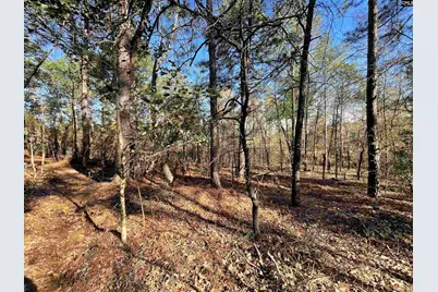 0 Green Hills Drive, Gilbert, SC 29054 - Photo 7