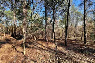 0 Green Hills Dr, Gilbert, SC 29054 - Photo 7