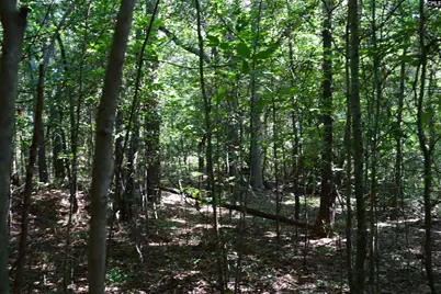 0 Green Hills Drive, Gilbert, SC 29054 - Photo 21