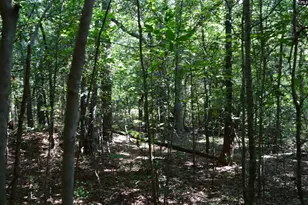 0 Green Hills Dr, Gilbert, SC 29054 - Photo 21