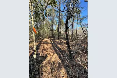 0 Green Hills Drive, Gilbert, SC 29054 - Photo 17