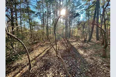 0 Green Hills Drive, Gilbert, SC 29054 - Photo 5