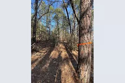 0 Green Hills Drive, Gilbert, SC 29054 - Photo 9