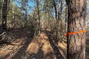 0 Green Hills Dr, Gilbert, SC 29054 - Photo 9