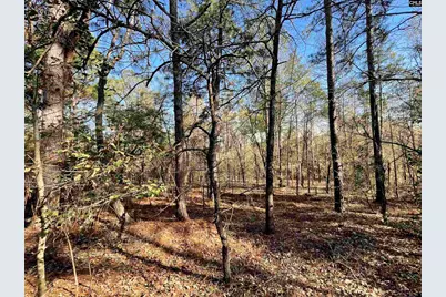 0 Green Hills Drive, Gilbert, SC 29054 - Photo 11