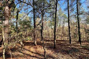 0 Green Hills Dr, Gilbert, SC 29054 - Photo 11