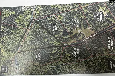 320 Dewdrop Drive, Ridgeway, SC 29130 - Photo 5