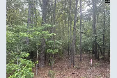 320 Dewdrop Drive, Ridgeway, SC 29130 - Photo 3