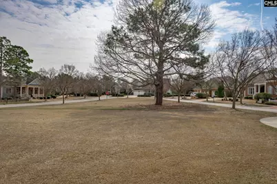 117 Parish Walk, Elgin, SC 29045 - Photo 75