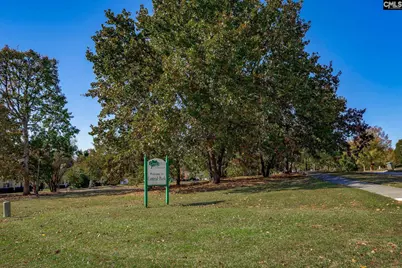 117 Parish Walk, Elgin, SC 29045 - Photo 77