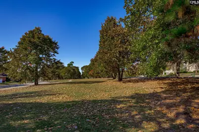 117 Parish Walk, Columbia, SC 29229 - Photo 77