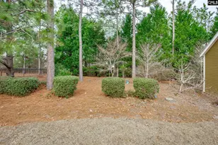 117 Parish Walk, Columbia, SC 29229 - Photo 67