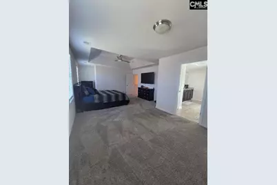 247 Ashewicke Drive, Columbia, SC 29229 - Photo 35