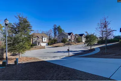 363 Asa Rose Lane, Lexington, SC 29072 - Photo 47