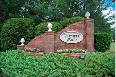 363 Asa Rose Lane, Lexington, SC 29072 - Photo 49