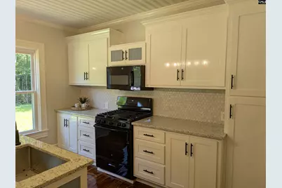 2904 Priceville Road, Gilbert, SC 29054 - Photo 13