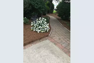 449 Lake Estate Drive, Chapin, SC 29036 - Photo 61