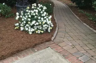 449 Lake Estate Dr, Chapin, SC 29036 - Photo 61