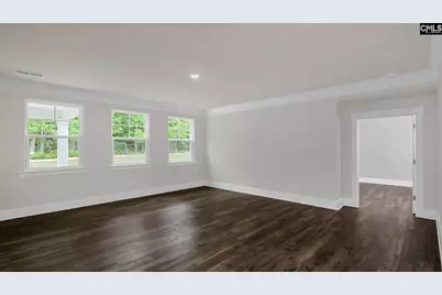 276 Livingston Woods Drive, Irmo, SC 29063 - Photo 13