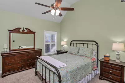 229 Lever Pass Road, Chapin, SC 29036 - Photo 23