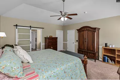 229 Lever Pass Road, Chapin, SC 29036 - Photo 17