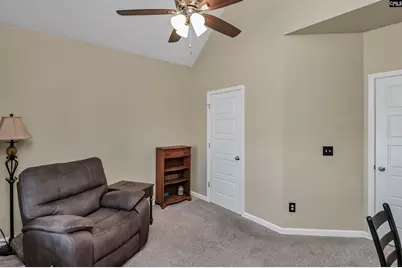 229 Lever Pass Road, Chapin, SC 29036 - Photo 21