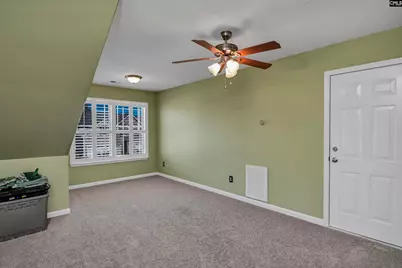 229 Lever Pass Road, Chapin, SC 29036 - Photo 25