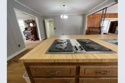 4229 Faust Street, Bamberg, SC 29003 - Photo 9