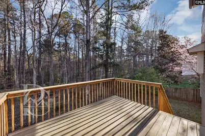 344 Gleneagle Circle, Irmo, SC 29063 - Photo 35