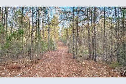 Richburg Lane, Prosperity, SC 29127 - Photo 5