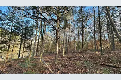 Richburg Lane, Prosperity, SC 29127 - Photo 13